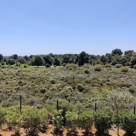 בזייה Appartement Golf Saint Thomas - Belle Residence מראה חיצוני תמונה