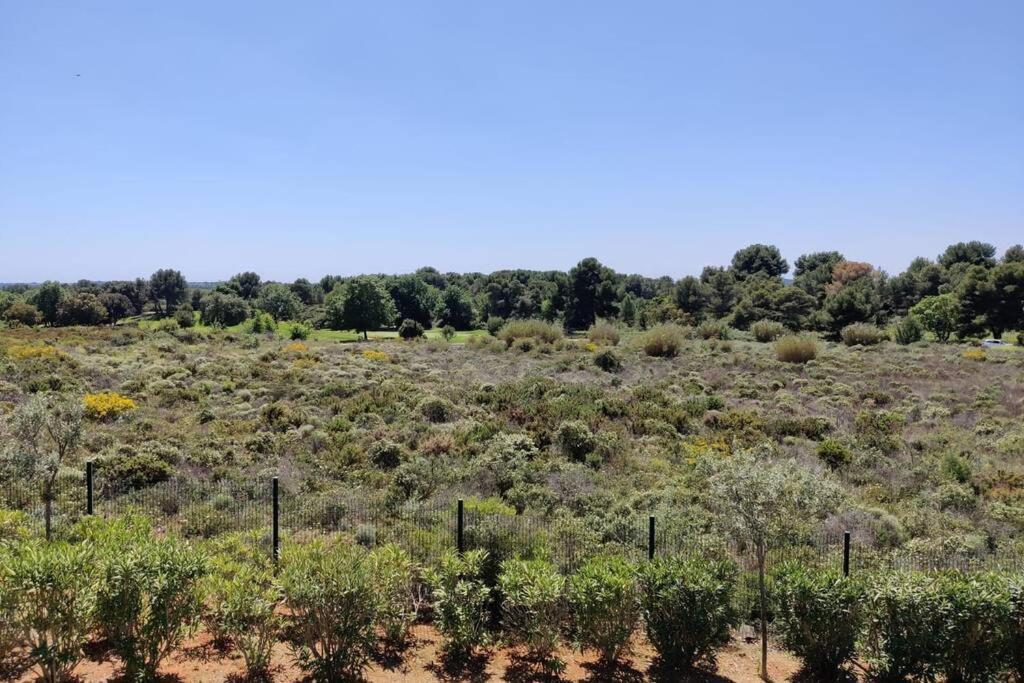 בזייה Appartement Golf Saint Thomas - Belle Residence מראה חיצוני תמונה